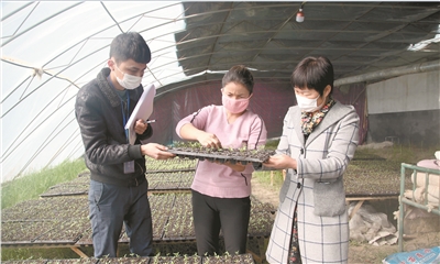 1583708527486746.jpg res01_attpic_brief.jpg