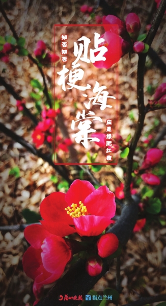 來，跟這些美美的花朵認識一下！
