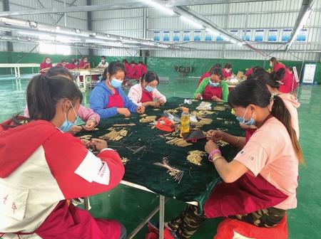 隴南武都區坪埡藏族鄉：“搬出”幸福新生活