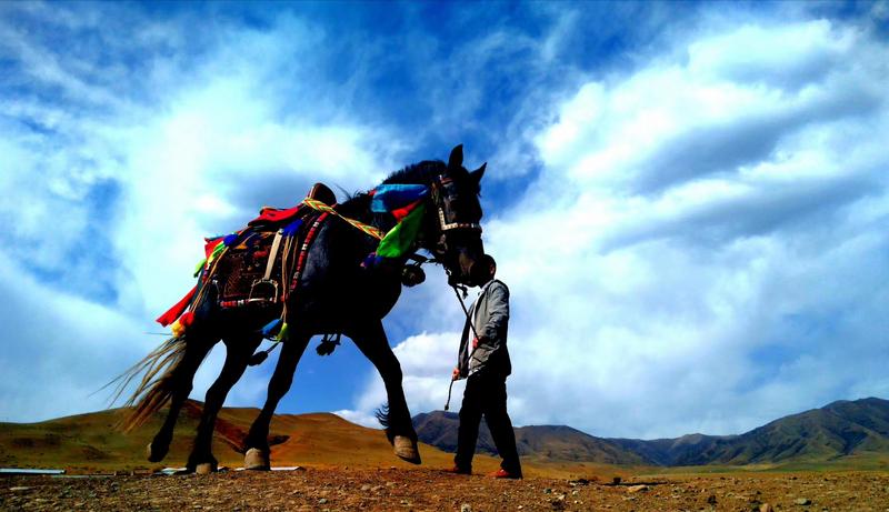 好消息！天祝被命名為“中國高原走馬之鄉”