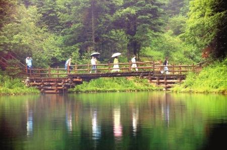 官鵝溝景區迎來旅游旺季