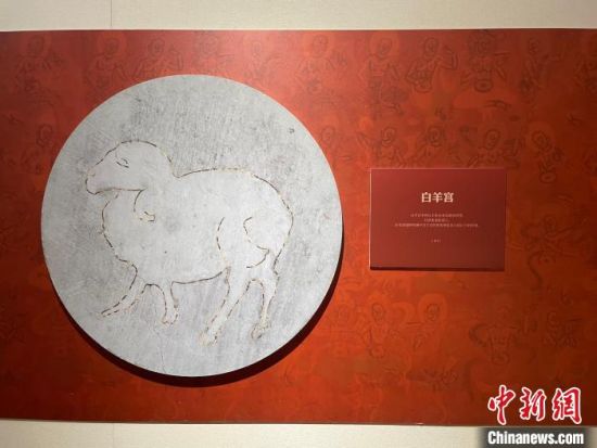 圖為展覽現(xiàn)場。　江楊燁 攝
