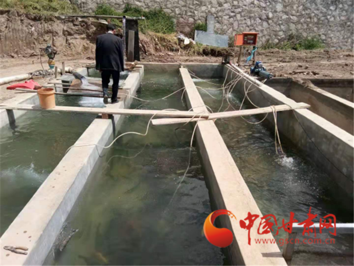蘭州榆中：馬坡鄉(xiāng)成功養(yǎng)殖虹鱒魚(yú) 每斤40元銷路有保障