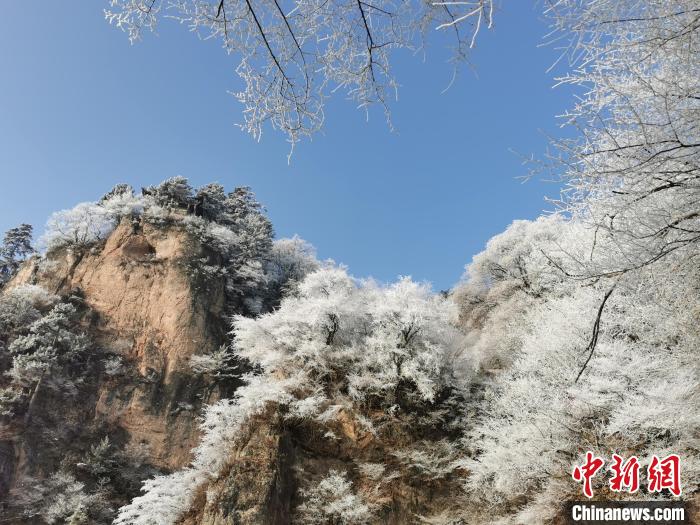 圖為藍天下霧凇籠罩山脈。 徐振華 攝 圖為藍天下霧凇籠罩山脈。 徐振華 攝
