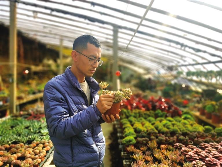 多肉寄養師王瑋：予人“多肉”手有余香