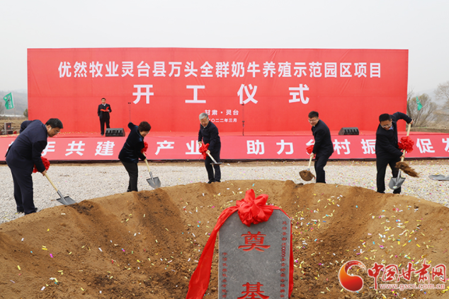 總投資7.2億元！優然牧業靈臺縣萬頭全群奶牛養殖示范園區項目開工