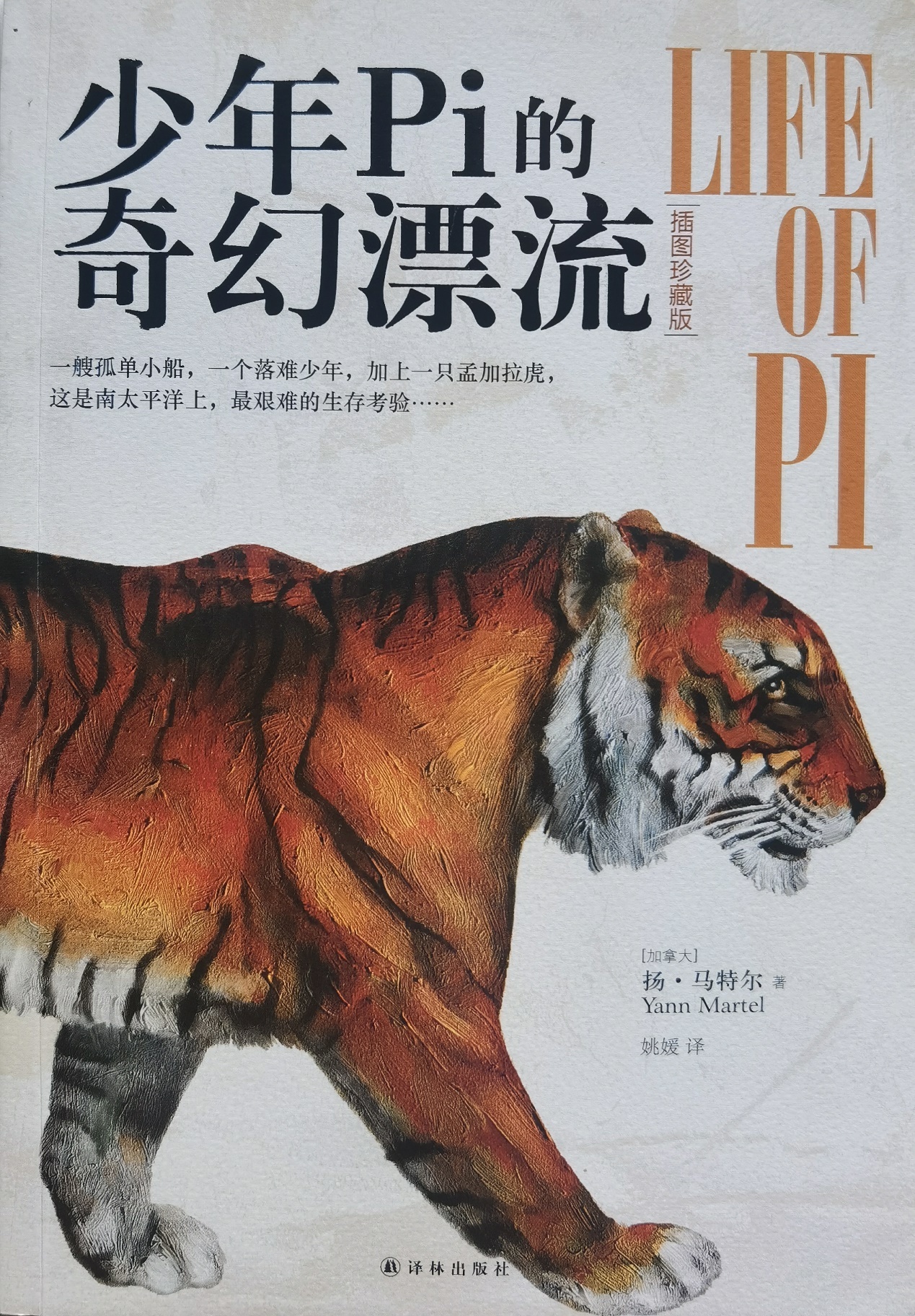 插圖1：揚？馬特爾的小說《少年pi的奇幻漂流》封面