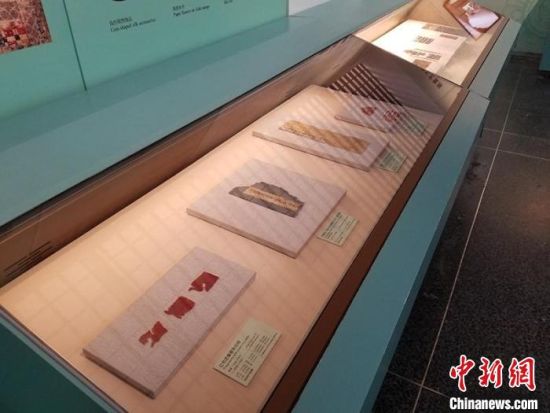 圖為展覽現(xiàn)場(chǎng)?！《鼗脱芯吭汗﹫D