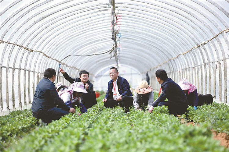 1679441635971503.jpg W020230322276386811383.jpg