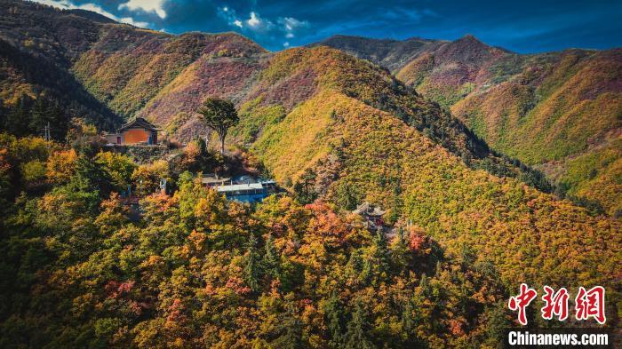 深秋，位于蘭州市榆中縣的興隆山，似打翻調色板。金峯 攝