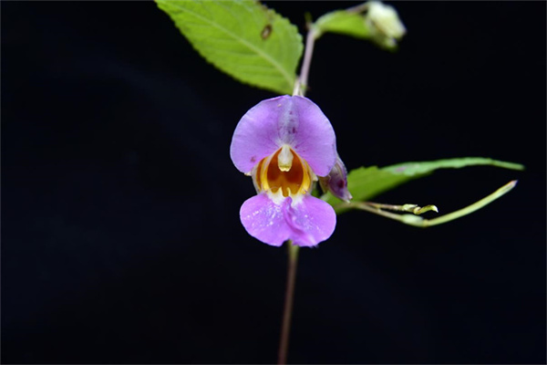 1710384980580953.jpg 15-2.jpg