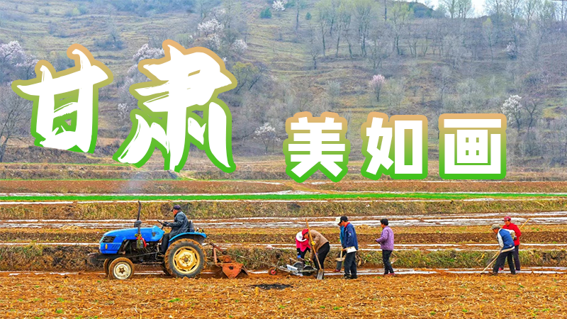 微海報|甘肅，美如畫