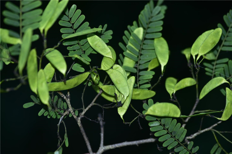 1714286594264955.jpg 29-2.jpg