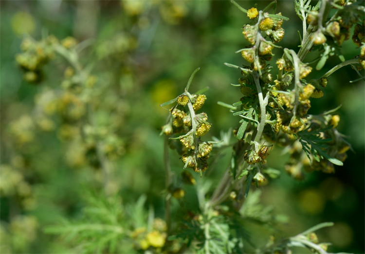 1722581781275787.jpg 21-2.jpg