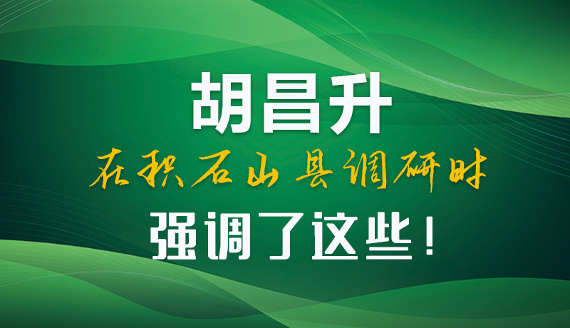 圖解|胡昌升在積石山縣調研時強調了這些！