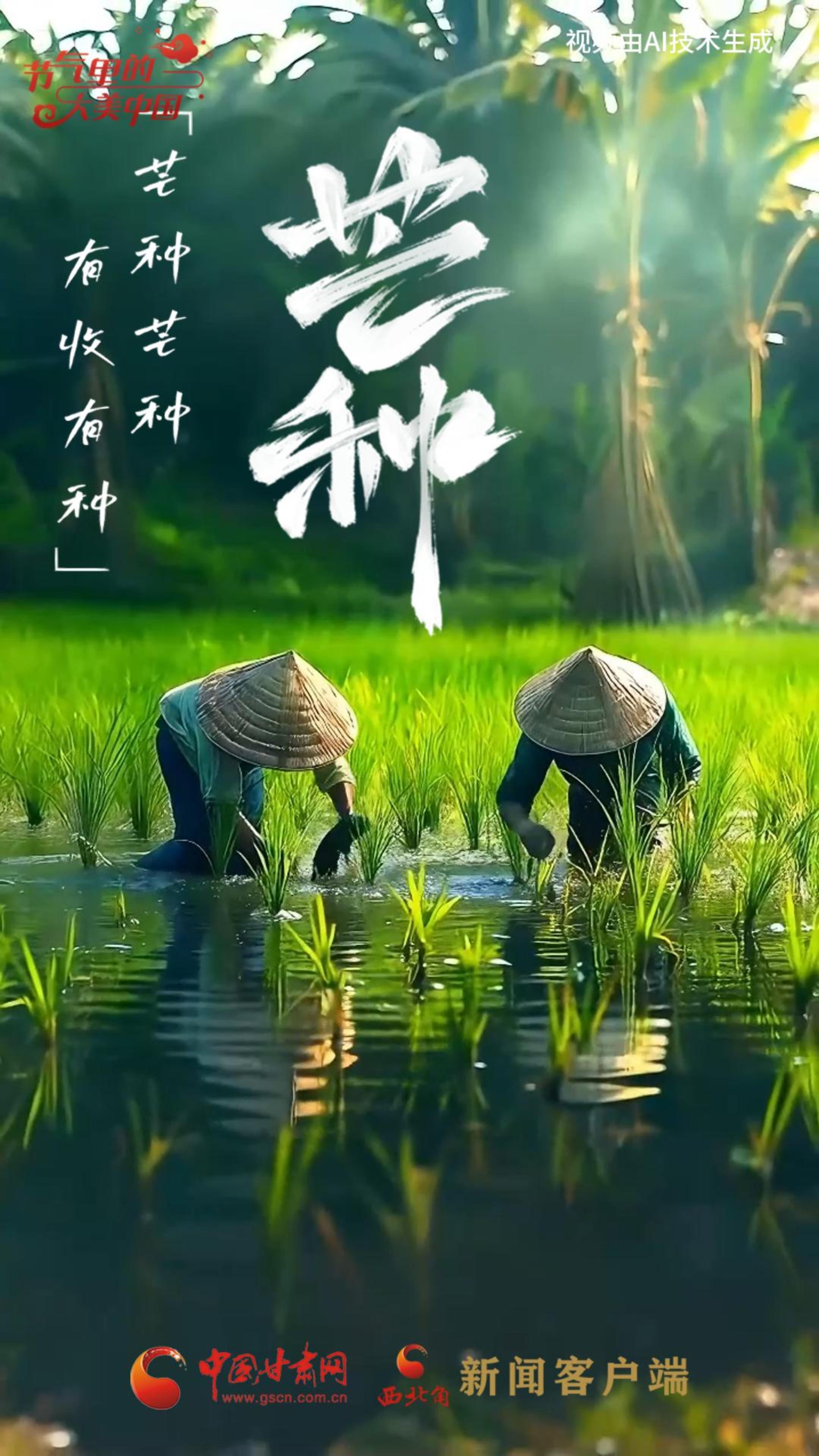 節(jié)氣里的大美甘肅|今日芒種：“芒”有所獲，“種”有所得