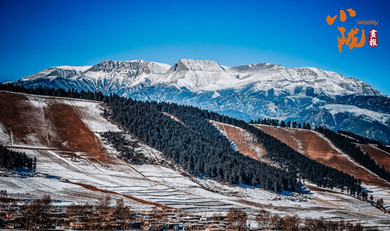 天祝哈溪：白雪綠林同框 冬日浪漫如畫境